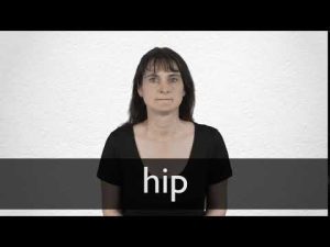 hips meaning in hindi 1