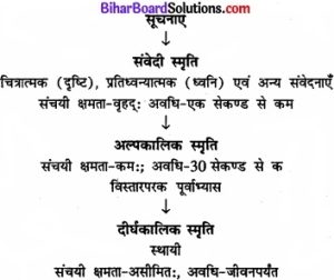 horny meaning in hindi 2