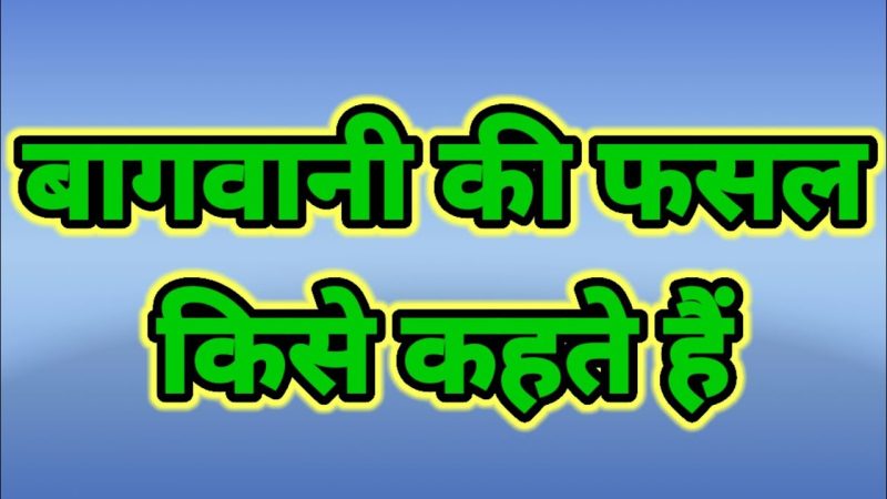हिंदी में बागवानी शब्दावली: सामान्य शब्दों और वाक्यांशों का अनुवाद (Hindee mein baagavaanee shabdaavalee: Saamaany shabdon aur vaakyaanshon ka anuvaad)