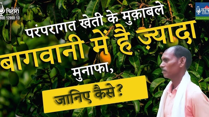 भारत में बागवानी का दायरा: संभावनाएं और चुनौतियां (Bhaarat mein baagavaanee ka daayara: Sambhaavanaen aur chunaautiyaan)