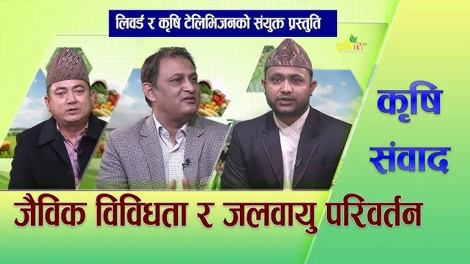 Bimal Meaning in Hindi: बिमल नाम का हिंदी में मतलब, अंक ज्योतिष और सांस्कृतिक महत्व