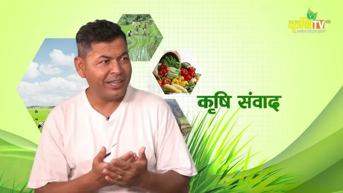 Bimal Meaning in Hindi: बिमल नाम का हिंदी में मतलब, अंक ज्योतिष और सांस्कृतिक महत्व