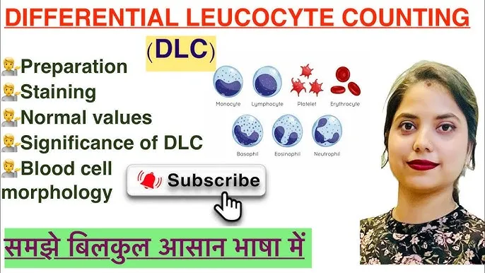 Dlc Meaning In Hindi: डिफरेंशियल ल्यूकोसाइट काउंट टेस्ट की संपूर्ण जानकारी