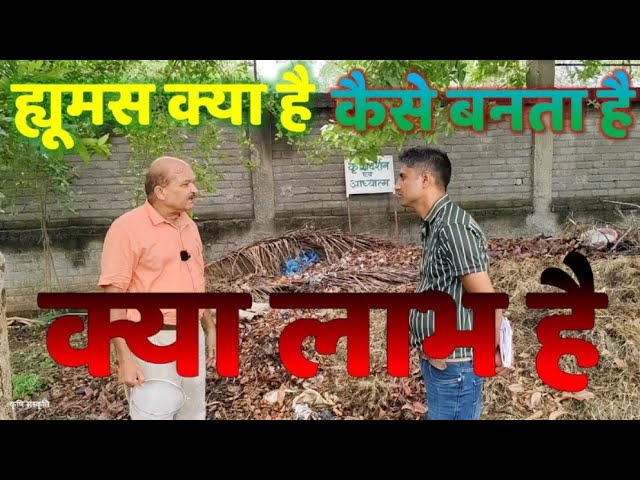 ह्यूमस का निर्माण कैसे होता है?