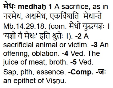 hurt meaning in hindi 3