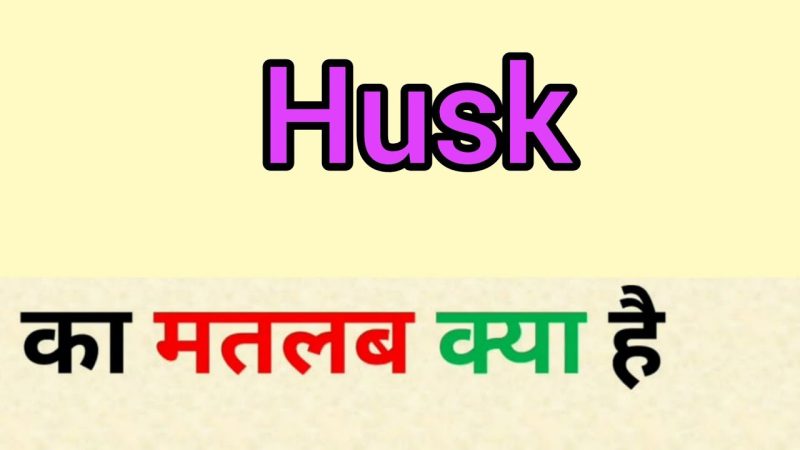 husk meaning in hindi - Hình 2