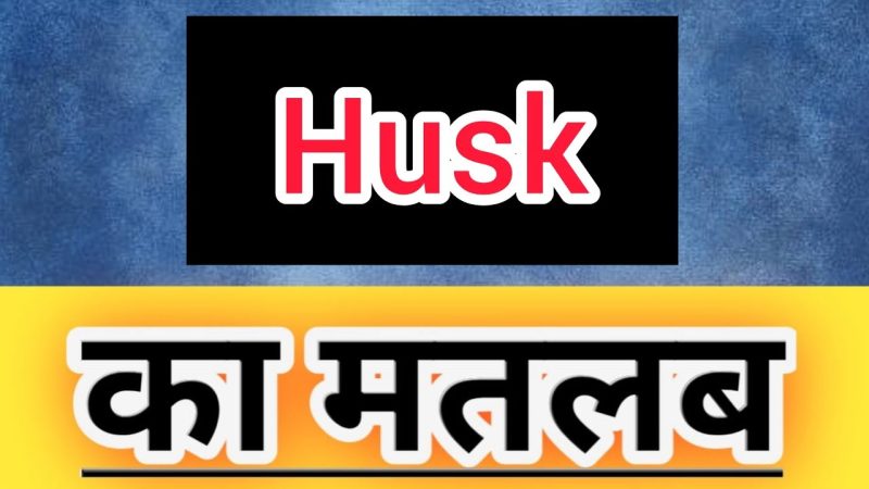 husk meaning in hindi - Hình 4