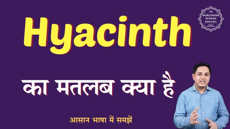 hyacinth meaning in hindi - Hình 2