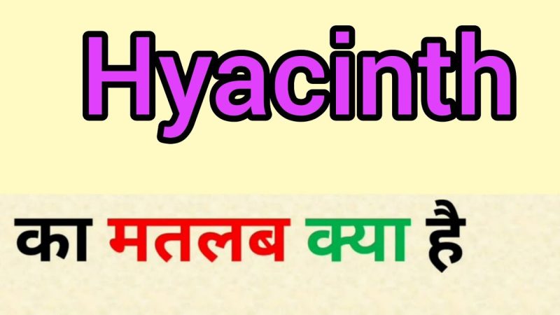 hyacinth meaning in hindi - Hình 3