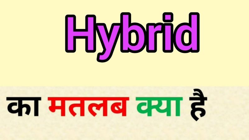 हाइब्रिड की विस्तृत परिभाषा और हिंदी में समानार्थी शब्द