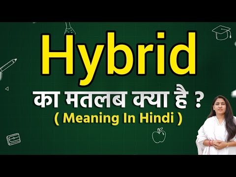 हाइब्रिड होने की प्रमुख विशेषताएँ और निहितार्थ