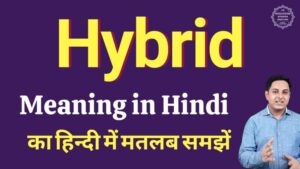 hybrid mode meaning in hindi