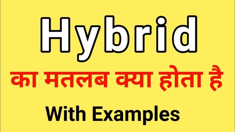 hybrid mode meaning in hindi - Hình 5