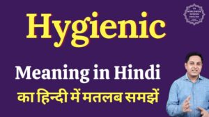 hygienic meaning in hindi