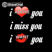 i adore you meaning in hindi 4