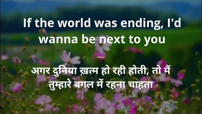 if the world was ending meaning in hindi - Hình 2