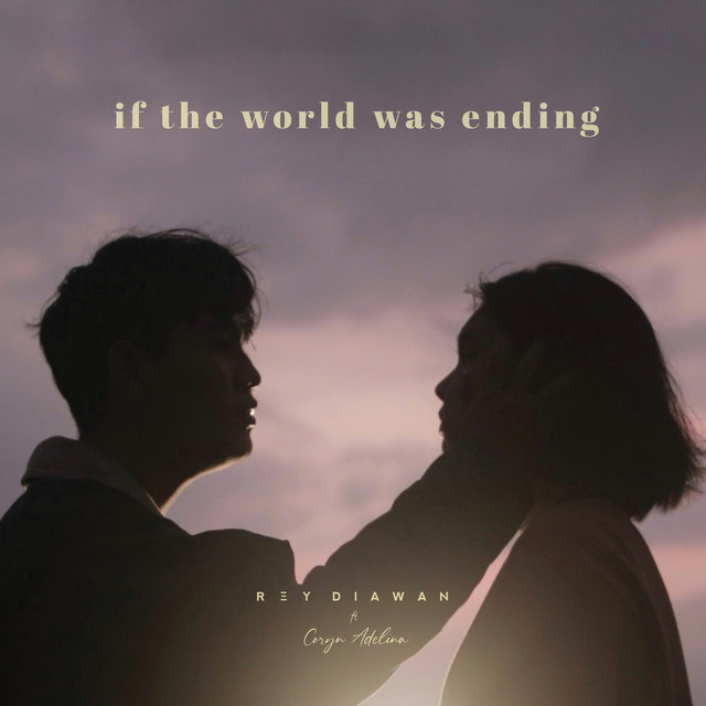 if the world was ending meaning in hindi - Hình 4