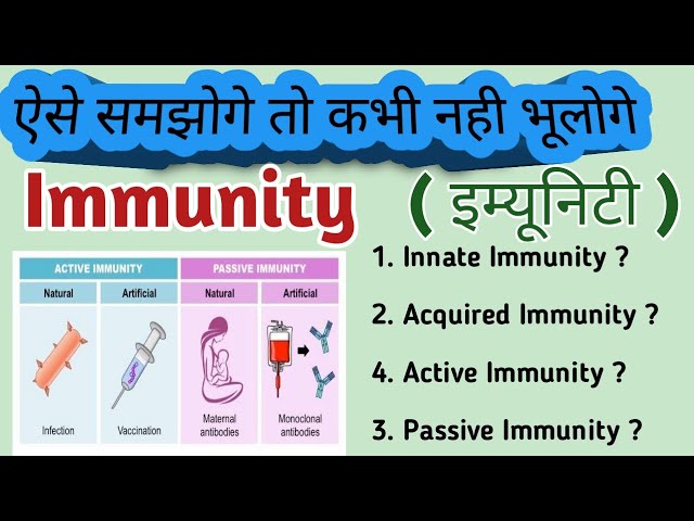 हिंदी में इम्यूनिटी का अर्थ  प्रतिरक्षा शब्द का सटीक हिंदी अनुवाद, विभिन्न संदर्भों में इसका उपयोग, और संबंधित शब्दों का अर्थ।