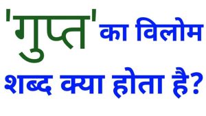 incognito meaning in hindi 2