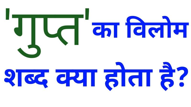 गुप्त और गोपनीयता: हिंदी परिप्रेक्ष्य