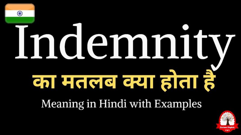 indemnity meaning in hindi - Hình 4