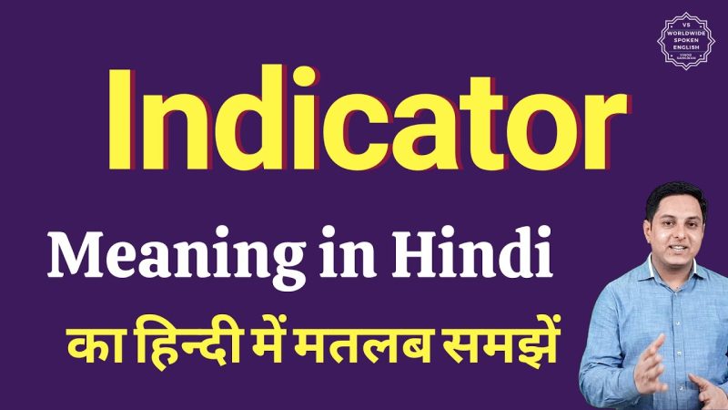 indicator meaning in hindi - Hình 1