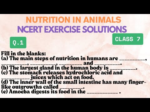 ingestion meaning in hindi 2