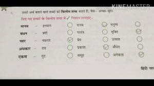 insane meaning in hindi 3