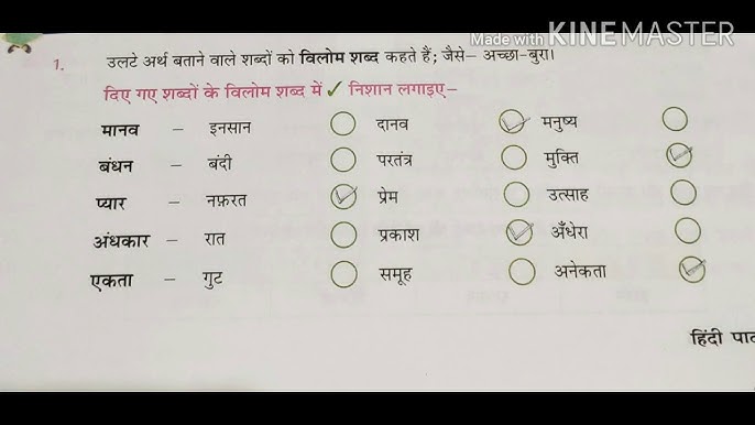 insane meaning in hindi 3