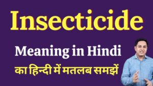 insecticides meaning in hindi