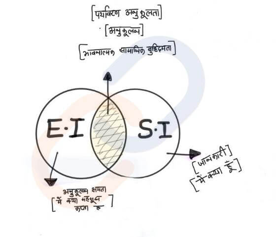 बुद्धिमत्ता के विभिन्न पहलुओं का हिंदी में वर्णन