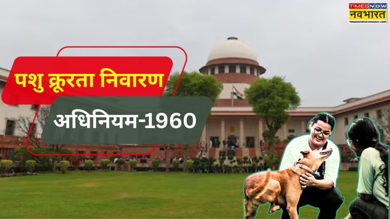 धमकी देने वाले व्यवहार से निपटना: प्रभावी रणनीतियां और तकनीकें