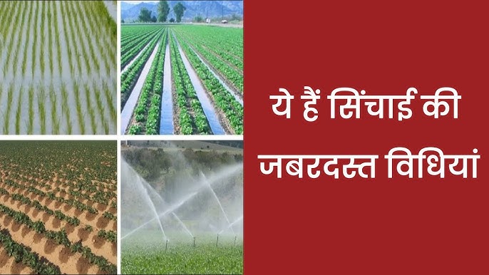 सिंचाई के विभिन्न प्रकार (Sinchaee ke vibhinn prakaar)  विभिन्न सिंचाई विधियों के बारे में जानें और कौन सी विधि आपके लिए सबसे अच्छी है।