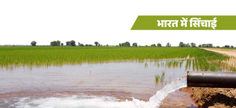 सिंचाई का महत्व (Sinchaee ka mahatv)  कृषि और खाद्य उत्पादन में सिंचाई की भूमिका को समझें।