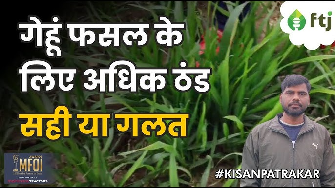 भारत में सिंचाई (Bhaarat mein sinchaee)  भारत में सिंचाई की वर्तमान स्थिति और चुनौतियों का पता लगाएं।
