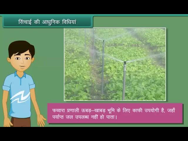 सिंचाई के लाभ और नुकसान (Sinchaee ke laabh aur nukasaan)  सिंचाई के फायदे और नुकसान पर विचार करें।