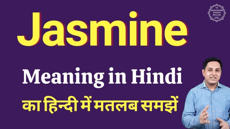 jasmine meaning in hindi - Hình 3