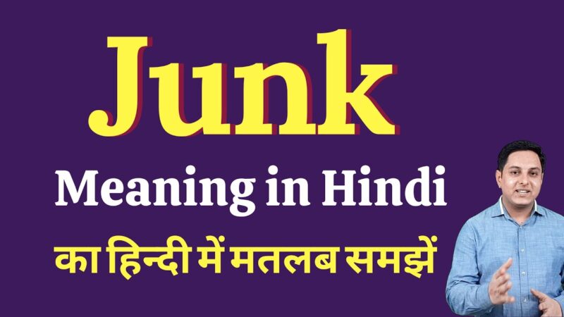 junk meaning in hindi - Hình 1
