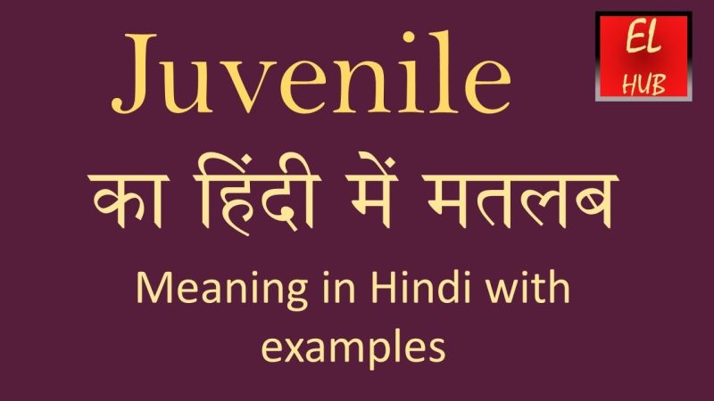 'Juvenile' के विभिन्न संदर्भ और अर्थ