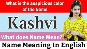 kashvi meaning in hindi 2