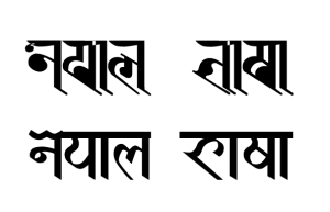 kin meaning in hindi 1