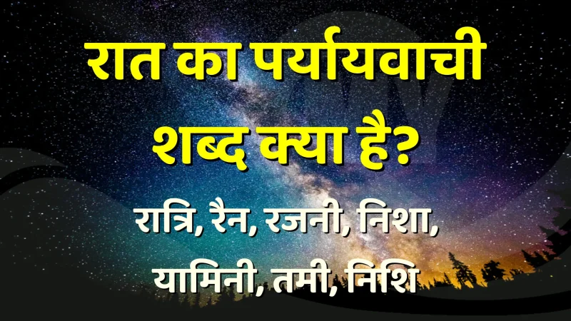 नाइट शब्द का उपयोग कैसे करें  उदाहरण और वाक्य [नाइट शब्द का सही उपयोग करने के लिए उदाहरण और वाक्य देखें]
