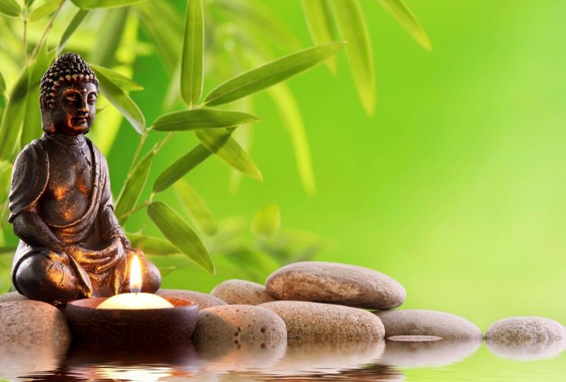 लेडीबग के दिखने से जुड़े शकुन और अंधविश्वास: हिंदी परिप्रेक्ष्य