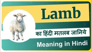 lamb meaning in hindi
