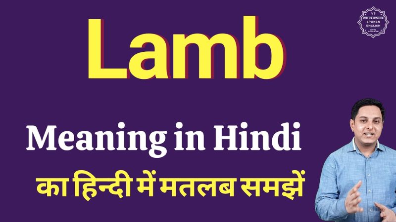 lamb meaning in hindi - Hình 3