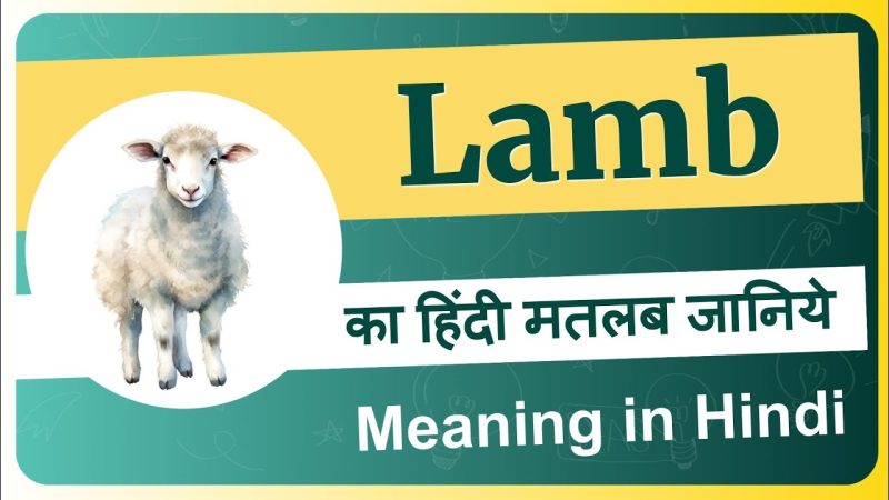 lamb meaning in hindi - Hình 1