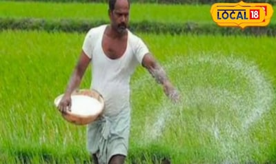 later meaning in hindi 2