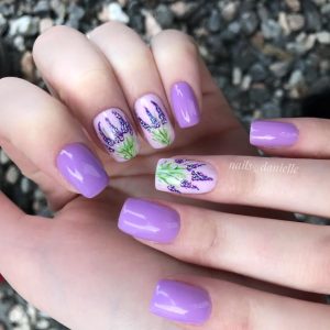 lavender meaning in hindi 2 1