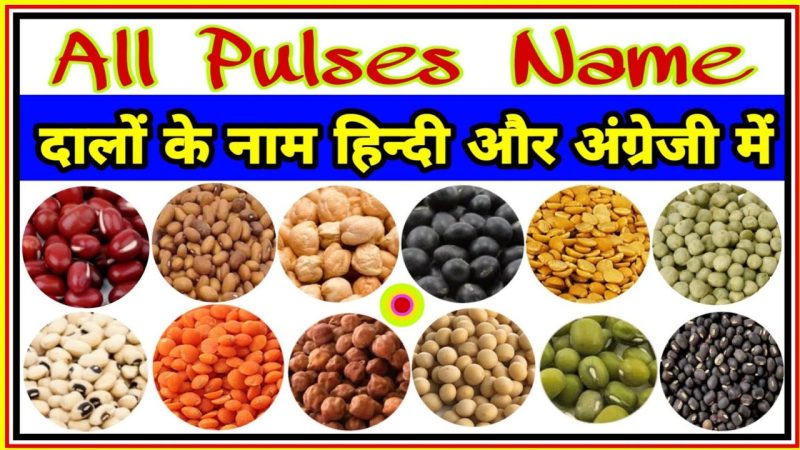 विभिन्न प्रकार की दालें और उनके हिंदी नाम (Vibhinn Prakar ki Dalein aur Unke Hindi Naam)