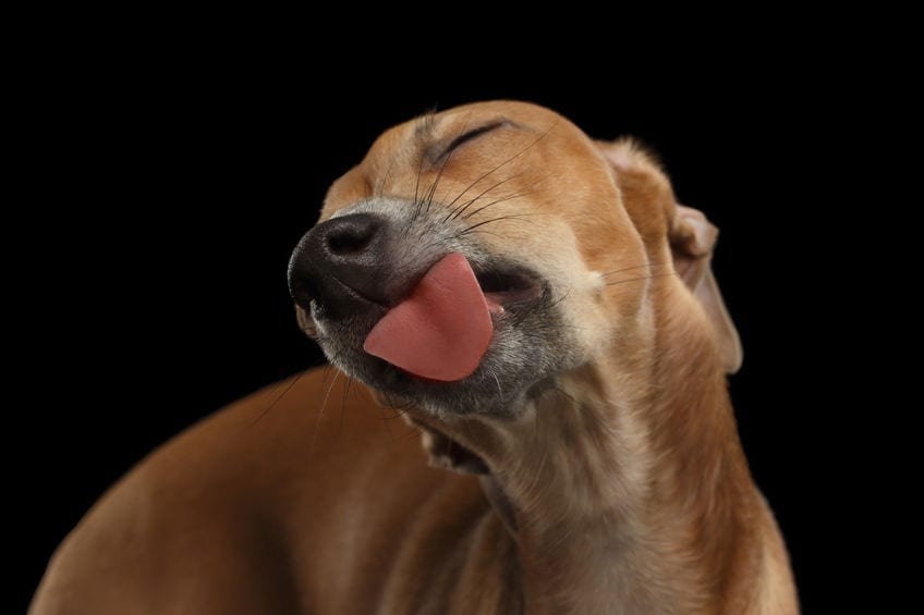 lick meaning in hindi 2